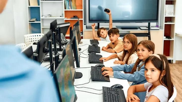 Junior Web Developer